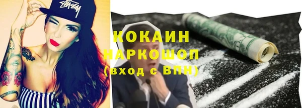 spice Козельск