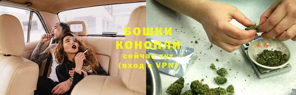 трава Кодинск