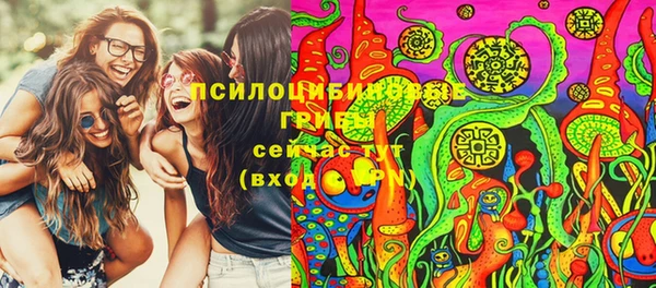 трава Кодинск