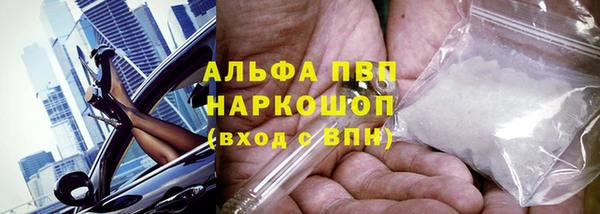 spice Козельск