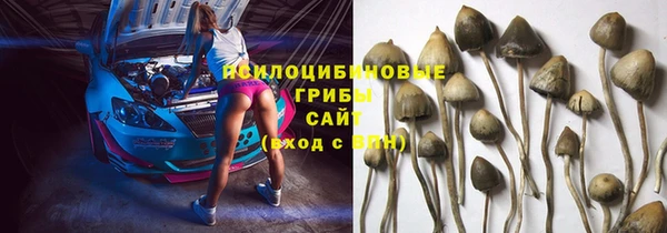 трава Кодинск