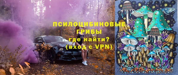 spice Козельск