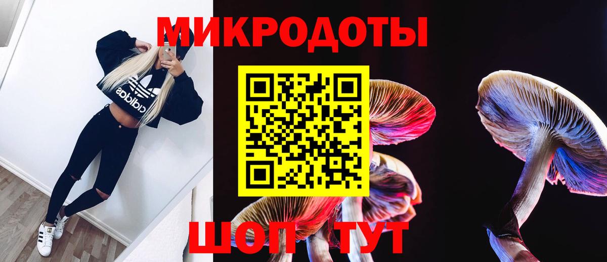 Галлюциногенные грибы Psilocybine cubensis  Галлюциногенные грибы ЛСД  Усть-Кут 